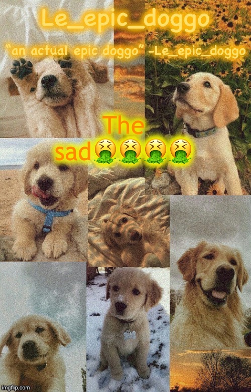 Doggo temp by doggo. Wait what that’s confusing | The sad🤮🤮🤮🤮 | image tagged in doggo temp by doggo wait what that s confusing | made w/ Imgflip meme maker