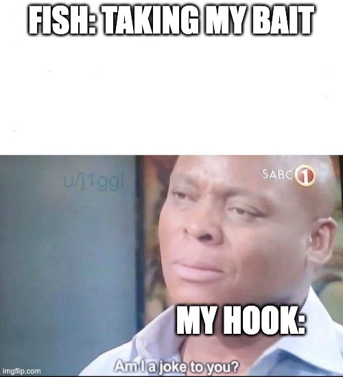 fishing truth | FISH: TAKING MY BAIT; MY HOOK: | image tagged in am i a joke to you | made w/ Imgflip meme maker