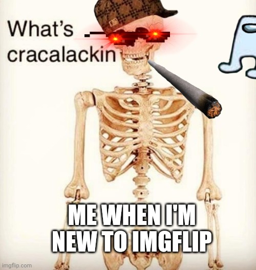 What's cracalackin | ME WHEN I'M NEW TO IMGFLIP | image tagged in what's cracalackin | made w/ Imgflip meme maker
