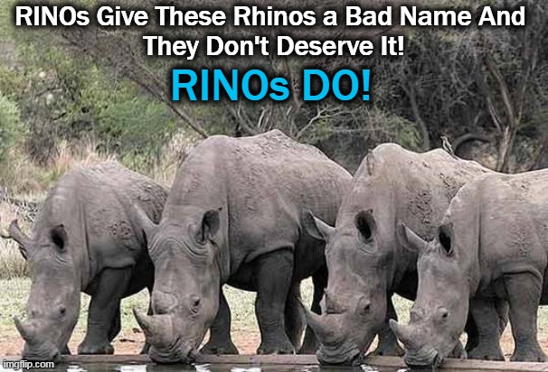 RINOs Give These Rhinos a Bad Name And 
They Don't Deserve It! RINOs DO! | made w/ Imgflip meme maker