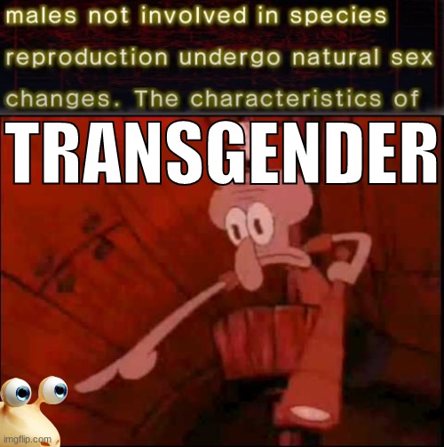 TRANSGENDER | made w/ Imgflip meme maker