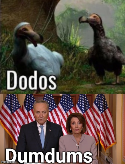 Dumdums | image tagged in chuck and nancy | made w/ Imgflip meme maker