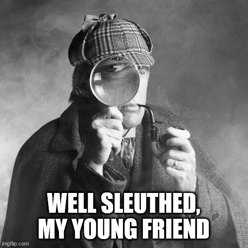 Sherlock Holmes | WELL SLEUTHED, MY YOUNG FRIEND | image tagged in sherlock holmes | made w/ Imgflip meme maker