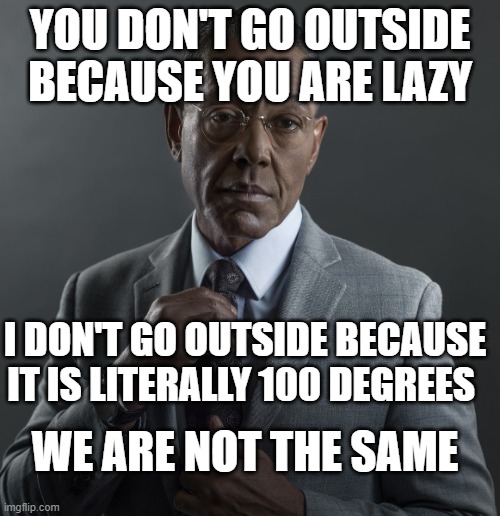 We are not the same meme format | YOU DON'T GO OUTSIDE BECAUSE YOU ARE LAZY; I DON'T GO OUTSIDE BECAUSE IT IS LITERALLY 100 DEGREES; WE ARE NOT THE SAME | image tagged in we are not the same meme format | made w/ Imgflip meme maker