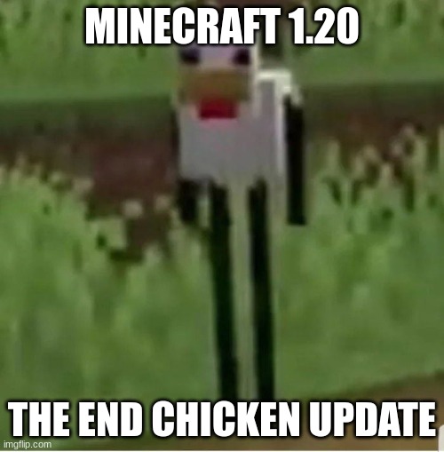 They fight back now | MINECRAFT 1.20; THE END CHICKEN UPDATE | image tagged in cursed minecraft chicken | made w/ Imgflip meme maker