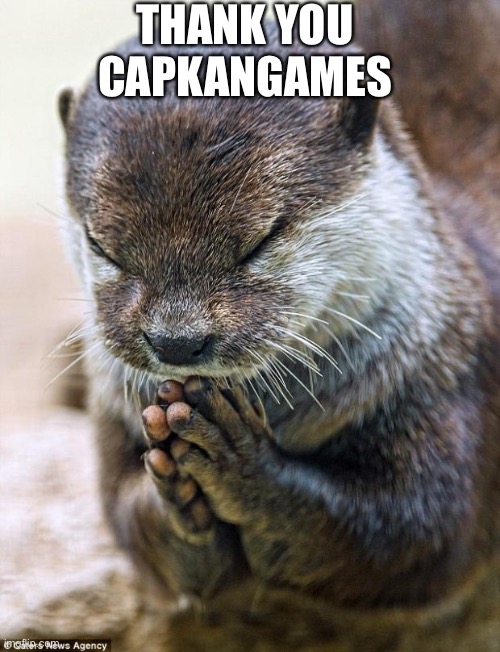 Thank you Lord Otter | THANK YOU CAPKANGAMES | image tagged in thank you lord otter | made w/ Imgflip meme maker