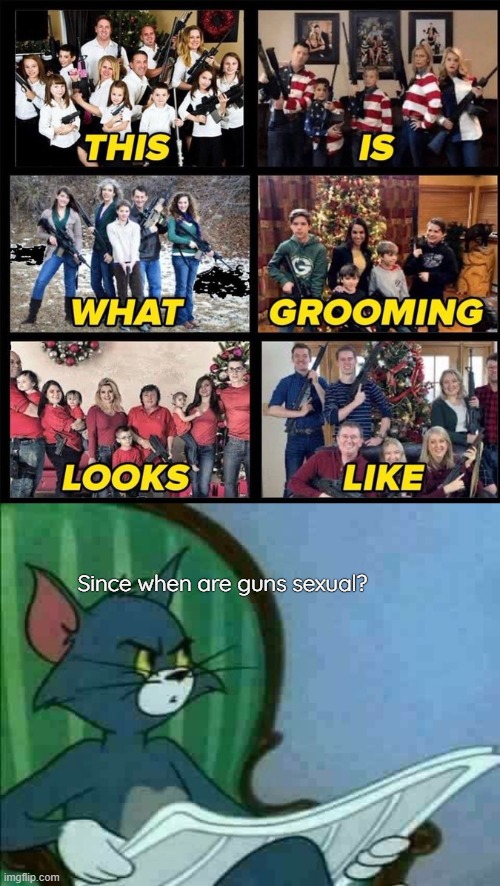 The left really can't meme can they |  Since when are guns sexual? | image tagged in the left cant meme,wtf | made w/ Imgflip meme maker