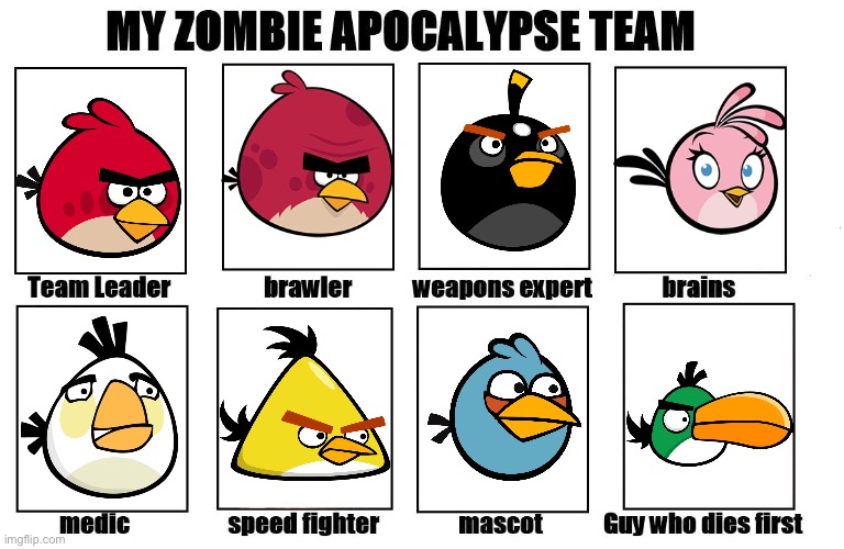 Angry Birds Zombie Apocalypse Team | image tagged in my zombie apocalypse team | made w/ Imgflip meme maker