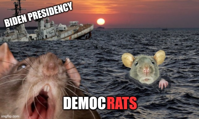 BIDEN PRESIDENCY; DEMOCRATS; RATS | made w/ Imgflip meme maker