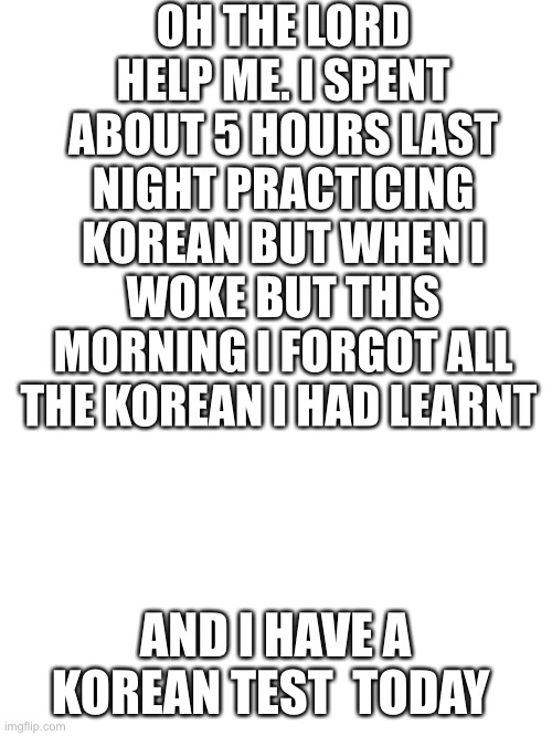 Blank White Template | OH THE LORD HELP ME. I SPENT ABOUT 5 HOURS LAST NIGHT PRACTICING KOREAN BUT WHEN I WOKE BUT THIS MORNING I FORGOT ALL THE KOREAN I HAD LEARNT; AND I HAVE A KOREAN TEST  TODAY | image tagged in blank white template | made w/ Imgflip meme maker