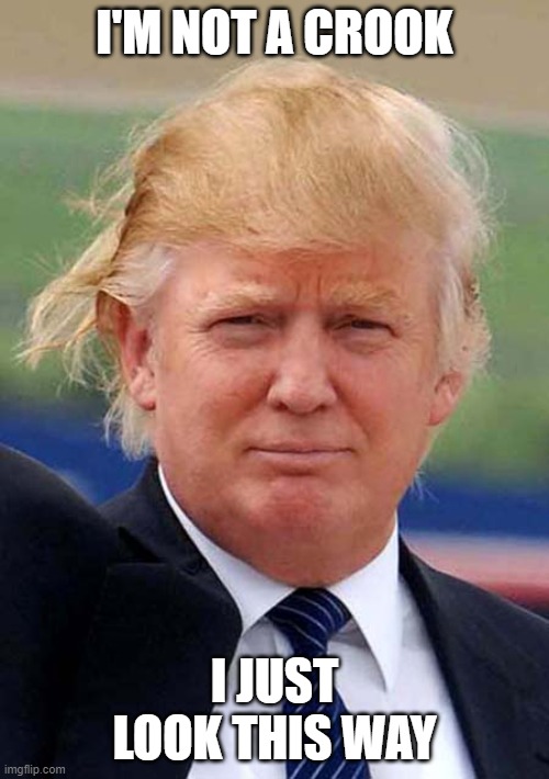 I'm Not A Crook | I'M NOT A CROOK; I JUST LOOK THIS WAY | image tagged in trump bad hair day | made w/ Imgflip meme maker