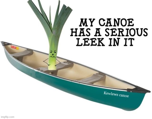 MY CANOE HAS A SERIOUS LEAK IN IT | made w/ Imgflip meme maker