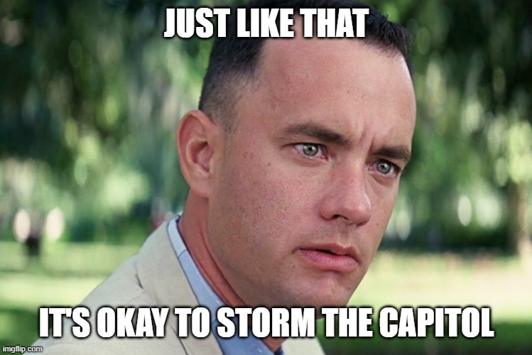 And Just Like That Meme | JUST LIKE THAT IT'S OKAY TO STORM THE CAPITOL | image tagged in memes,and just like that | made w/ Imgflip meme maker