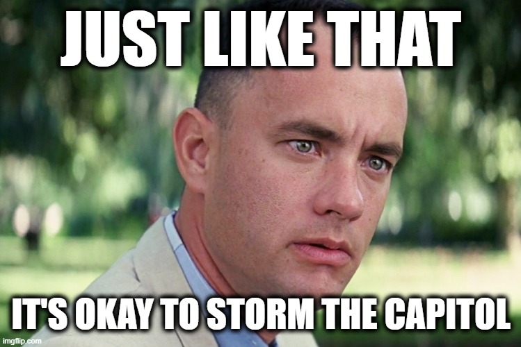 And Just Like That Meme | JUST LIKE THAT IT'S OKAY TO STORM THE CAPITOL | image tagged in memes,and just like that | made w/ Imgflip meme maker