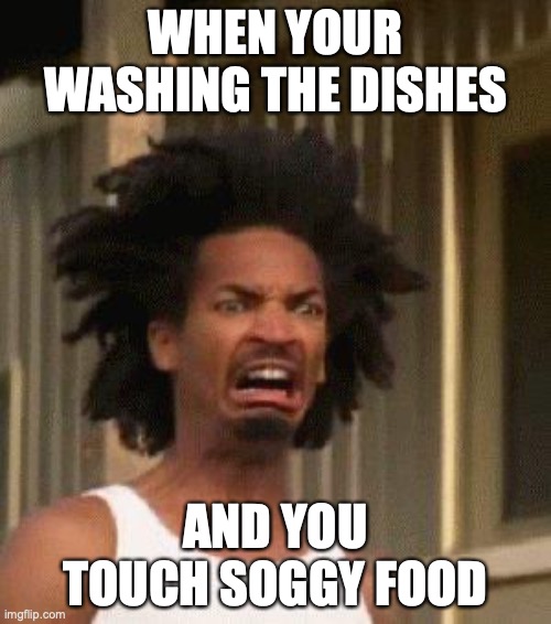this is so true | WHEN YOUR WASHING THE DISHES; AND YOU TOUCH SOGGY FOOD | image tagged in disgusted face | made w/ Imgflip meme maker