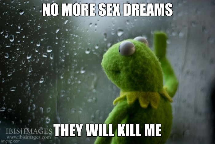 NO MORE SEX DREAMS THEY WILL KILL ME | image tagged in kermit window | made w/ Imgflip meme maker