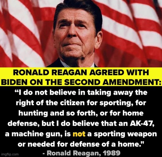 Ronald Reagan Second Amendment | image tagged in ronald reagan second amendment | made w/ Imgflip meme maker