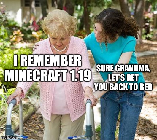 Grandma old | I REMEMBER MINECRAFT 1.19; SURE GRANDMA, LET’S GET YOU BACK TO BED | image tagged in sure grandma let's get you to bed | made w/ Imgflip meme maker