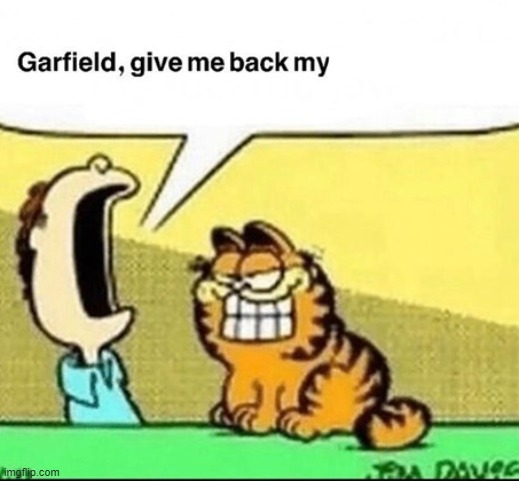 Garfield, give me back my X | image tagged in garfield,custom template | made w/ Imgflip meme maker