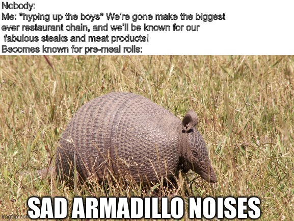 Texas Roadhouse Rolls, like: | Nobody:
Me: *hyping up the boys* We’re gone make the biggest 
ever restaurant chain, and we’ll be known for our
 fabulous steaks and meat products! 


Becomes known for pre-meal rolls:; SAD ARMADILLO NOISES | image tagged in armadillo | made w/ Imgflip meme maker