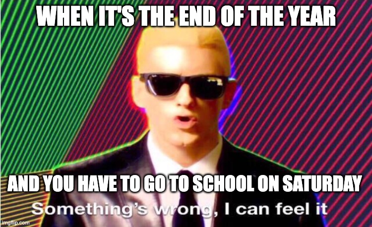 that feeling | WHEN IT'S THE END OF THE YEAR; AND YOU HAVE TO GO TO SCHOOL ON SATURDAY | image tagged in something s wrong,eminem,sunglasses,memes,funny,funny memes | made w/ Imgflip meme maker
