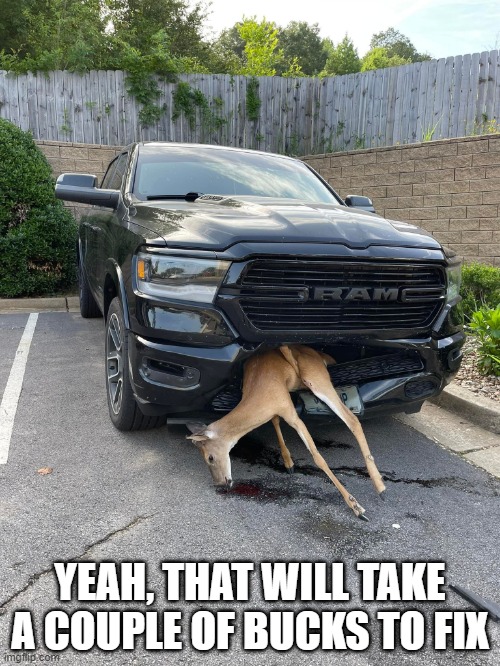 Damage | YEAH, THAT WILL TAKE A COUPLE OF BUCKS TO FIX | image tagged in funny meme | made w/ Imgflip meme maker