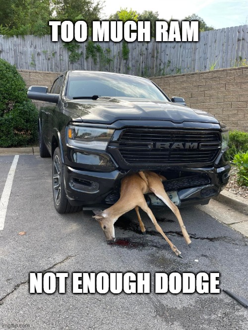 Accident Pun | TOO MUCH RAM; NOT ENOUGH DODGE | image tagged in bad pun | made w/ Imgflip meme maker