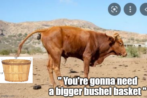 " You're gonna need a bigger bushel basket " | made w/ Imgflip meme maker