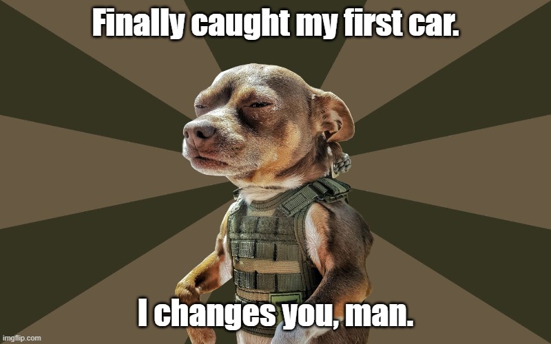 Dog catches Car | Finally caught my first car. I changes you, man. | image tagged in commandog,catch,car,changes you | made w/ Imgflip meme maker