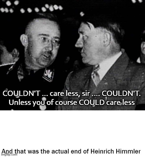 I could care less ... | image tagged in grammar nazi,hitler,bad grammar and spelling memes,funny | made w/ Imgflip meme maker