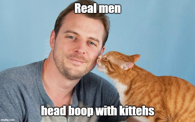 Real men head boop with kittehs | made w/ Imgflip meme maker