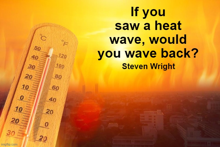Heat Wave | Steven Wright | image tagged in heat wave,hot,thermometer,funny,memes,steven wright | made w/ Imgflip meme maker