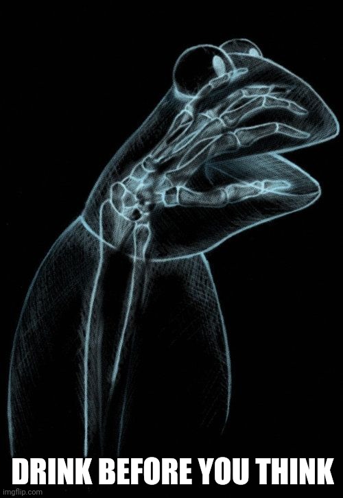 Kermit xray | DRINK BEFORE YOU THINK | image tagged in kermit xray | made w/ Imgflip meme maker