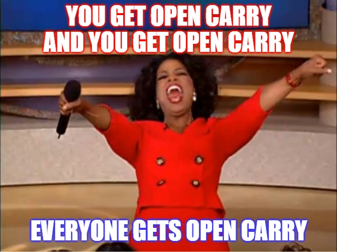 OpenCarryOprah | YOU GET OPEN CARRY AND YOU GET OPEN CARRY; EVERYONE GETS OPEN CARRY | image tagged in oprah you get a | made w/ Imgflip meme maker