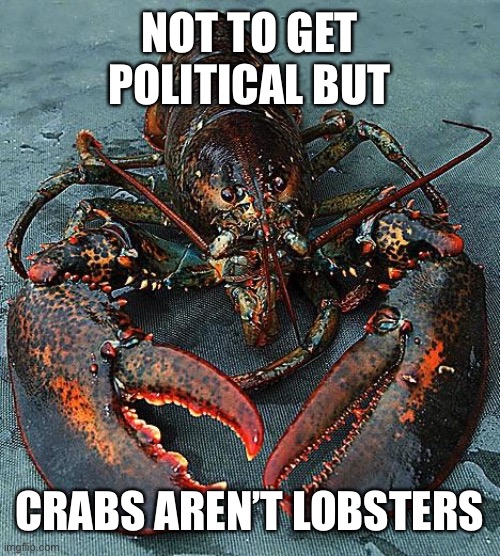 controversial meme | NOT TO GET POLITICAL BUT; CRABS AREN’T LOBSTERS | image tagged in lobster | made w/ Imgflip meme maker