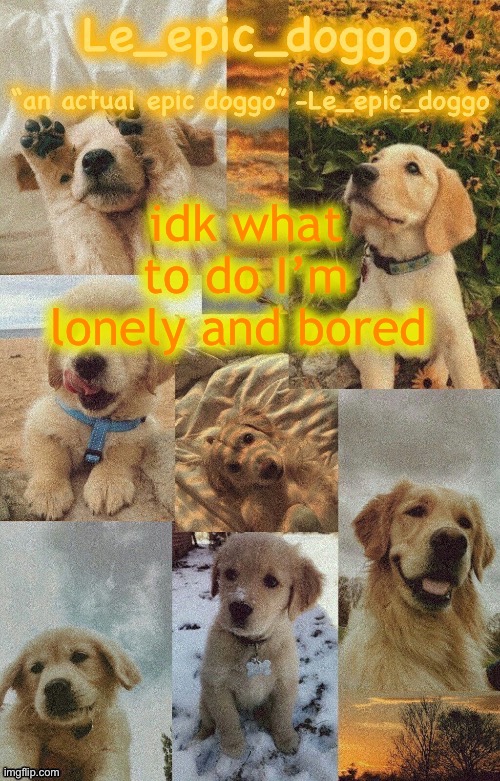 Doggo temp by doggo. Wait what that’s confusing | idk what to do I’m lonely and bored | image tagged in doggo temp by doggo wait what that s confusing | made w/ Imgflip meme maker
