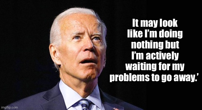 Confused Joe Biden |  It may look like I’m doing nothing but I’m actively waiting for my problems to go away.’ | image tagged in confused joe biden,doing nothing,waiting,problems,go away,political | made w/ Imgflip meme maker