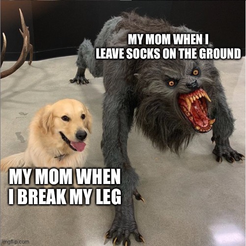 :< | MY MOM WHEN I LEAVE SOCKS ON THE GROUND; MY MOM WHEN I BREAK MY LEG | image tagged in dog vs werewolf | made w/ Imgflip meme maker