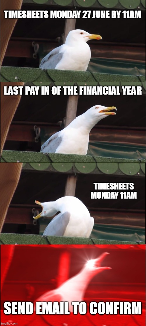 Timesheet reminder | TIMESHEETS MONDAY 27 JUNE BY 11AM; LAST PAY IN OF THE FINANCIAL YEAR; TIMESHEETS MONDAY 11AM; SEND EMAIL TO CONFIRM | image tagged in memes,inhaling seagull | made w/ Imgflip meme maker