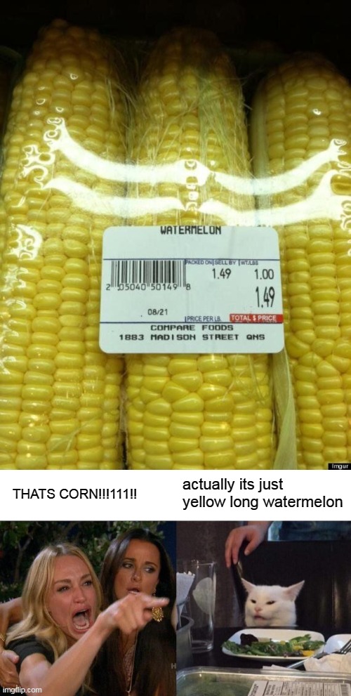 i agree with the cat (found image on google) | actually its just yellow long watermelon; THATS CORN!!!111!! | image tagged in memes,woman yelling at cat,corn,watermelon,you had one job | made w/ Imgflip meme maker
