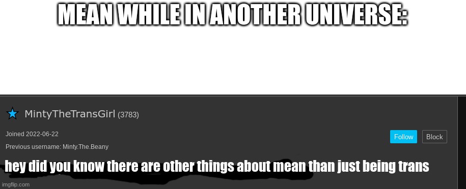 MEAN WHILE IN ANOTHER UNIVERSE:; hey did you know there are other things about mean than just being trans | image tagged in funny | made w/ Imgflip meme maker