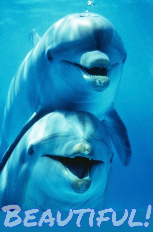 Beautiful! | made w/ Imgflip meme maker