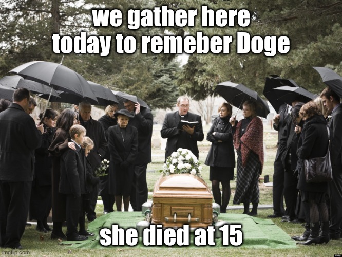 Funeral | we gather here today to remeber Doge; she died at 15 | image tagged in funeral | made w/ Imgflip meme maker