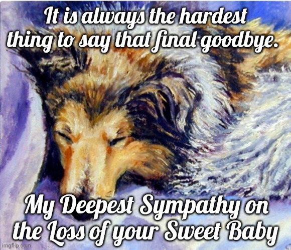 Pet Sympathy | It is always the hardest thing to say that final goodbye. My Deepest Sympathy on the Loss of your Sweet Baby | image tagged in last goodbye,sympathy,condolences,loss | made w/ Imgflip meme maker