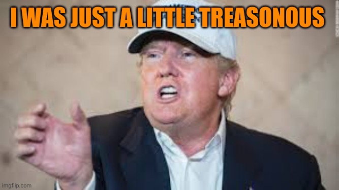 Just a bit | I WAS JUST A LITTLE TREASONOUS | image tagged in trump no problem there | made w/ Imgflip meme maker