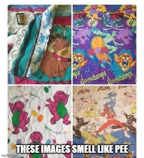 Oh the Sheets! | THESE IMAGES SMELL LIKE PEE | image tagged in 1990s | made w/ Imgflip meme maker