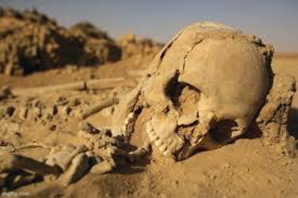 Spire’s “boner” be like: | image tagged in desert bones | made w/ Imgflip meme maker