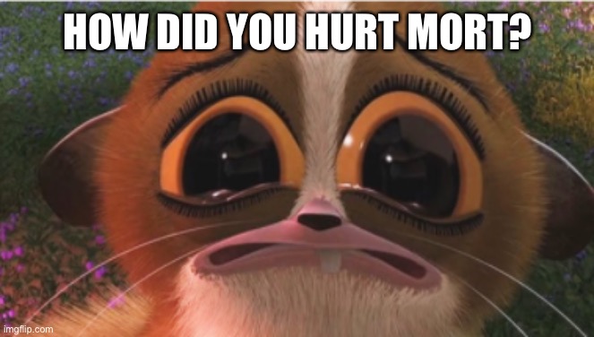 crying mort | HOW DID YOU HURT MORT? | image tagged in crying mort | made w/ Imgflip meme maker