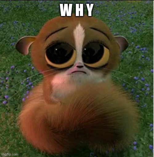 Sad Face Mort | W H Ÿ | image tagged in sad face mort | made w/ Imgflip meme maker