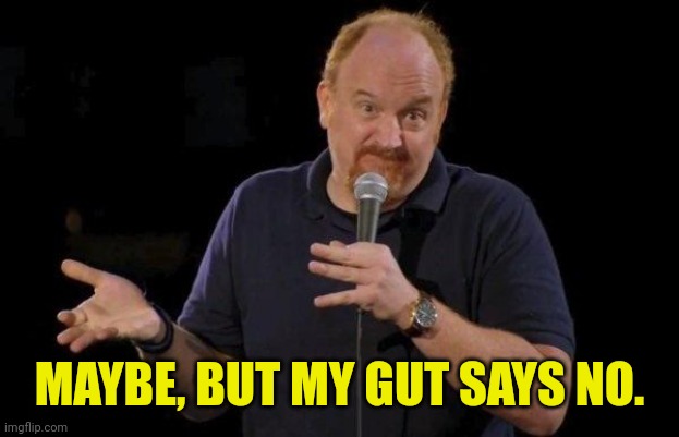 Louis ck but maybe | MAYBE, BUT MY GUT SAYS NO. | image tagged in louis ck but maybe | made w/ Imgflip meme maker